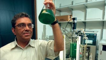 Himadri Pakrasi of ICARES holds a beaker to the light. He researches cyanobacteria.