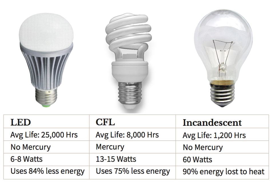 Graphic showcases the differences between different light bulbs